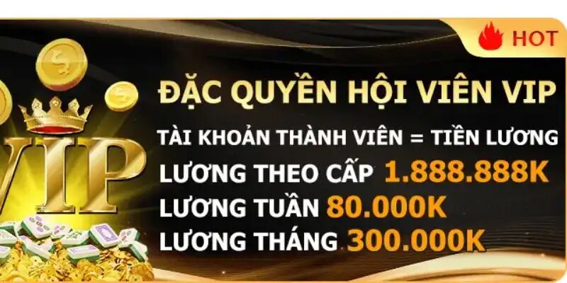 Tổng hợp những sự kiện ưu đãi dành cho thành viên VIP