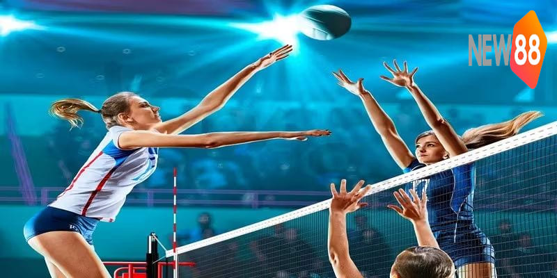 Bí quyết tham gia các cách cược bóng chuyền hiệu quả