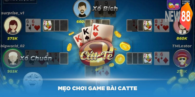Các mẹo chơi game bài Catte online hiệu quả nhất