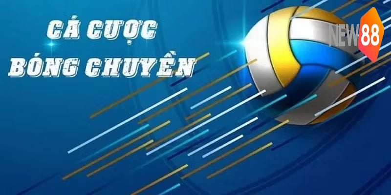 Giới thiệu về cách cược bóng chuyền