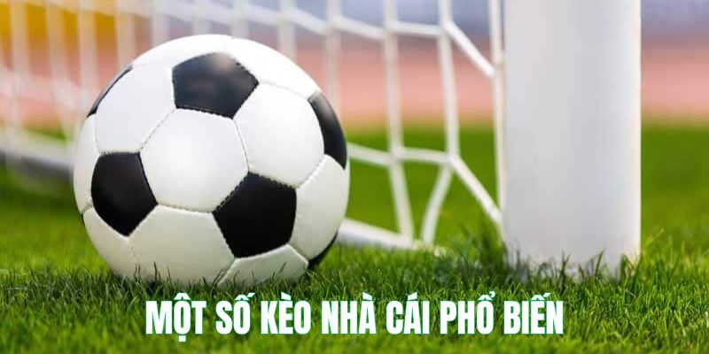 5 loại hình đặt cược đang được ưa chuộng trong năm 2024